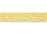 Anchor Six Stranded Cotton Threads Colour Number 300 - 390 - Tandem Cottage Needlework