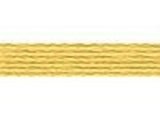 Anchor Six Stranded Cotton Threads Colour Number 300 - 390 - Tandem Cottage Needlework