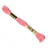 DMC Six Stranded Threads Colour Numbers 892 - 954 - Tandem Cottage Needlework